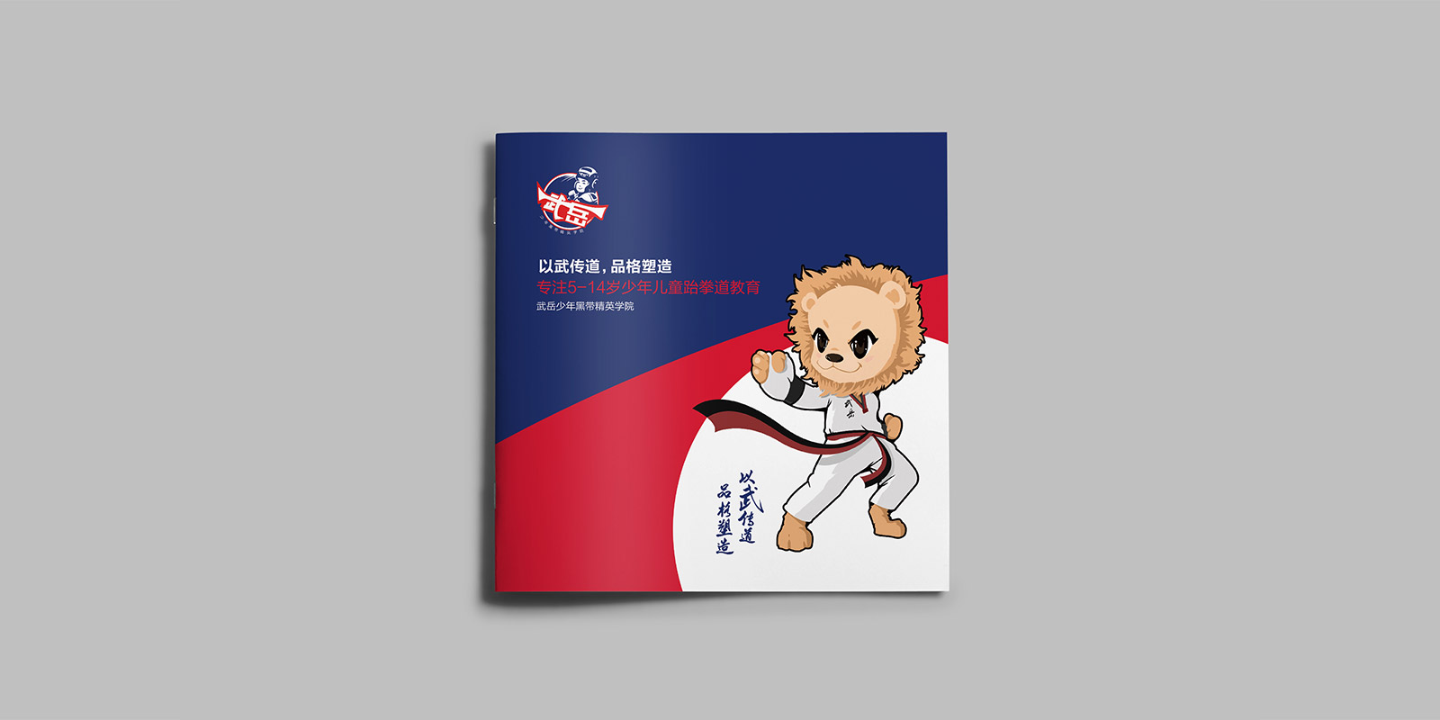 少儿跆拳道画册画册设计